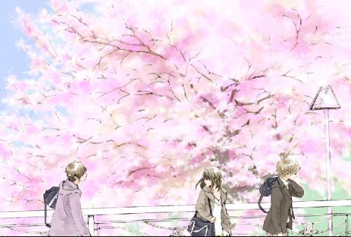 深入了解 含羞草Ifj11研究所入口